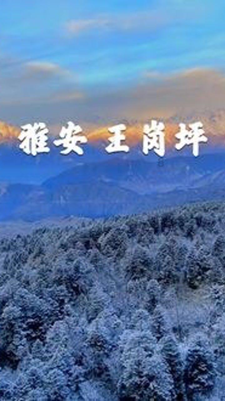 苹果手机的充电口坏了要多少钱维修？游戏画面