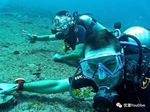 虫虫助手下载