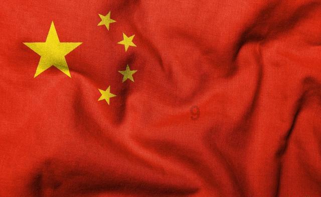 赵露思化秋日小熊妆清纯甜美 与狗狗互动好有爱