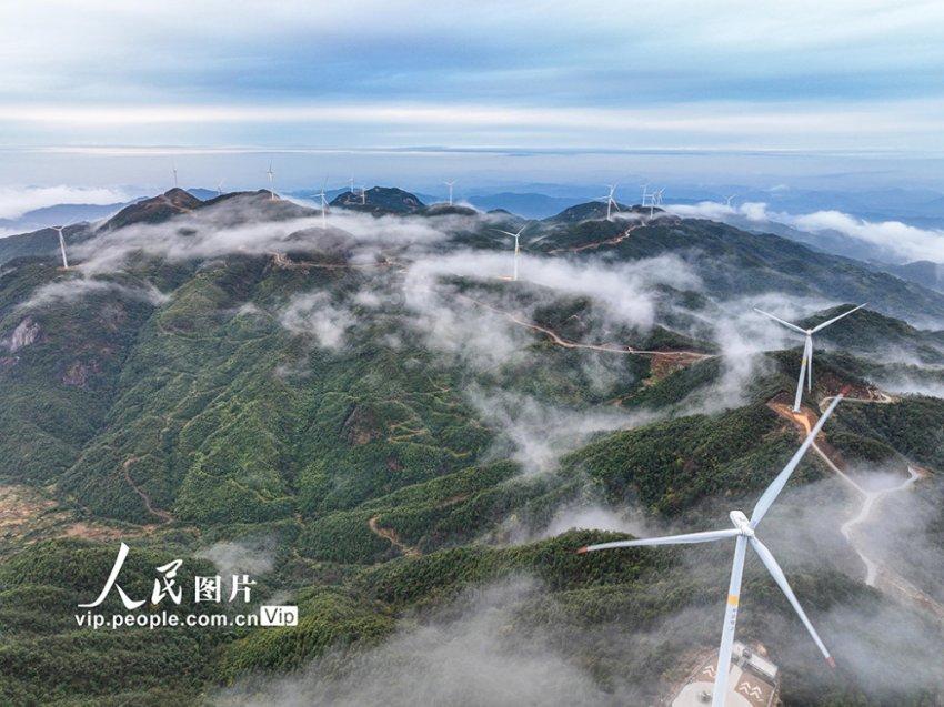 逃离阴暗的房屋