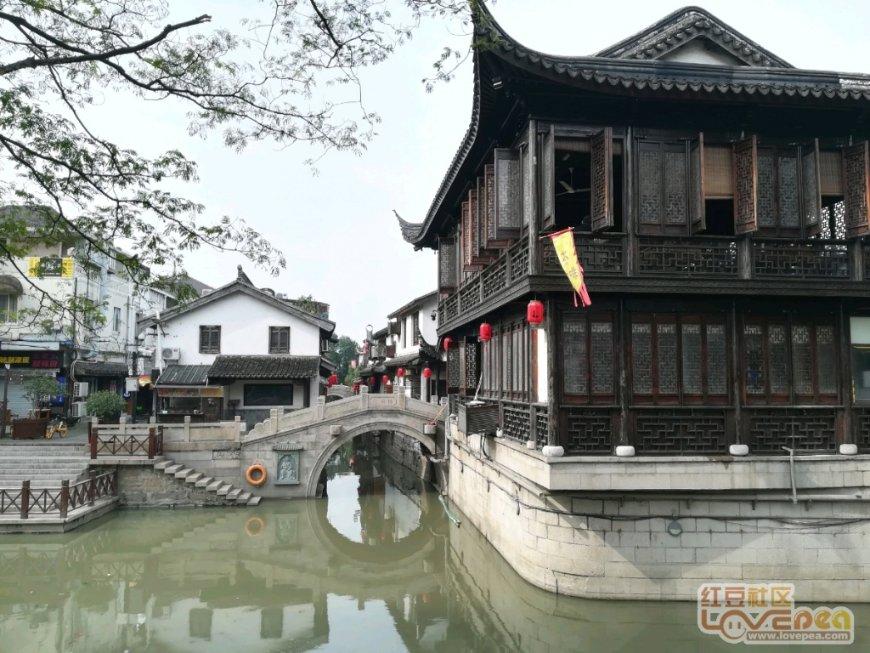 救援瓢虫宝宝